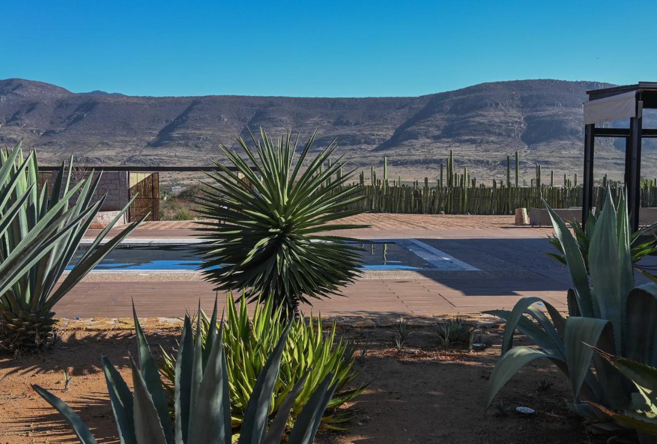 Casa Regina Oaxaca Villa San Pablo Villa de Mitla Kültér fotó