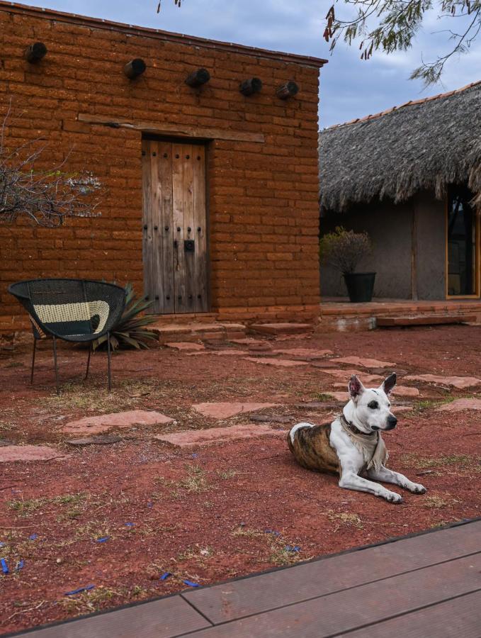 Casa Regina Oaxaca Villa San Pablo Villa de Mitla Kültér fotó