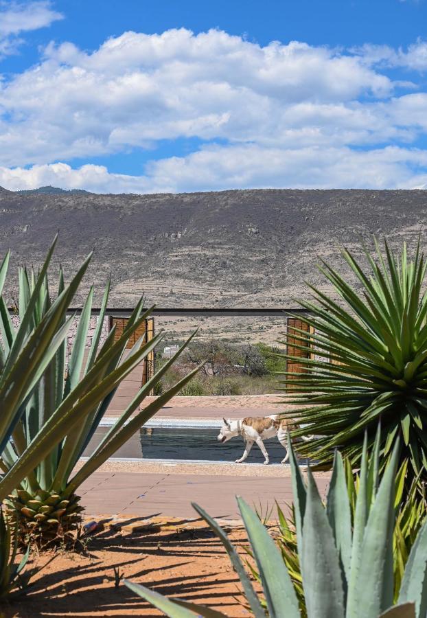 Casa Regina Oaxaca Villa San Pablo Villa de Mitla Kültér fotó