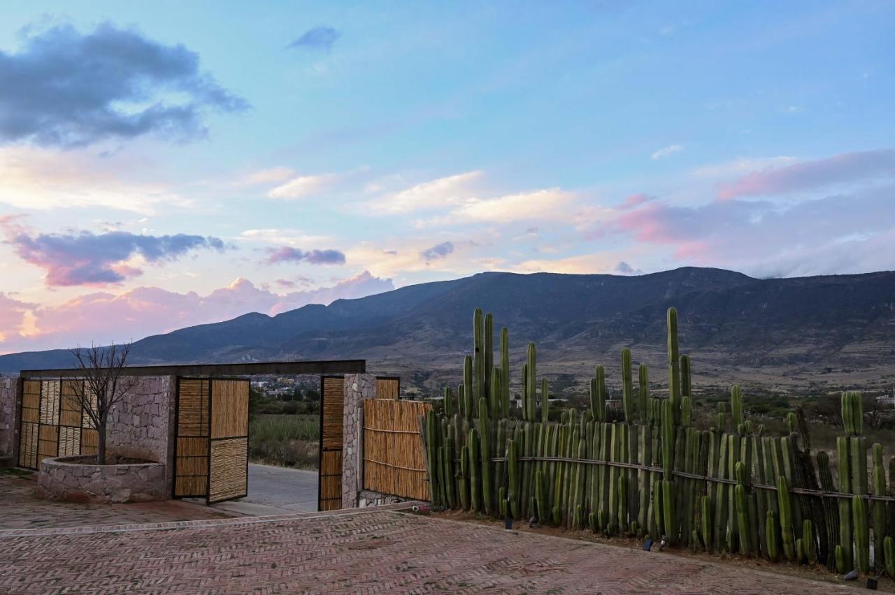 Casa Regina Oaxaca Villa San Pablo Villa de Mitla Kültér fotó