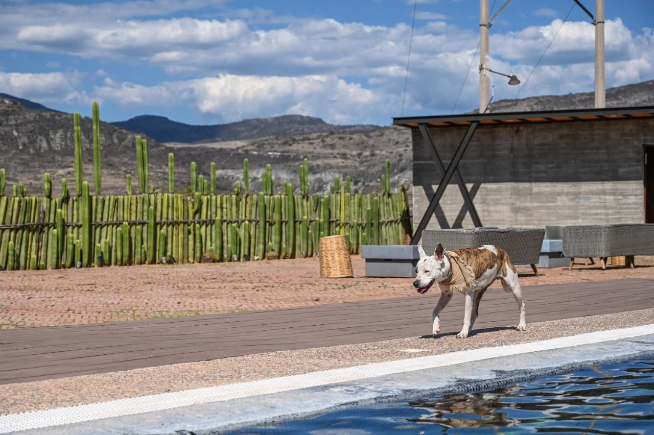 Casa Regina Oaxaca Villa San Pablo Villa de Mitla Kültér fotó